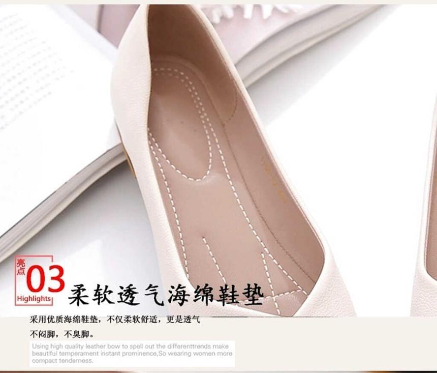 Plain Pointed Toe Flats Product Image