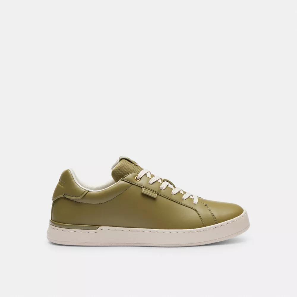 Lowline Low Top Sneaker Product Image