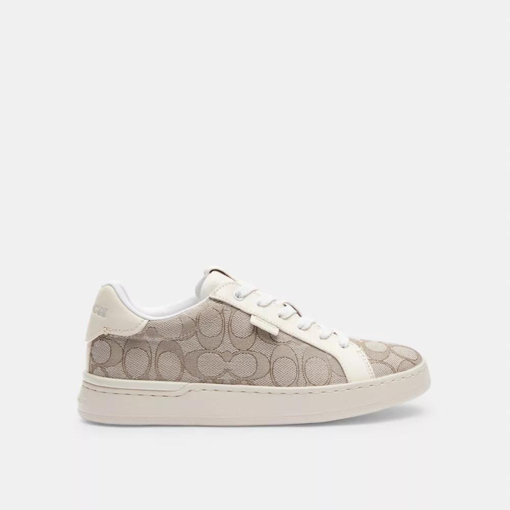 Lowline Low Top Sneaker Product Image