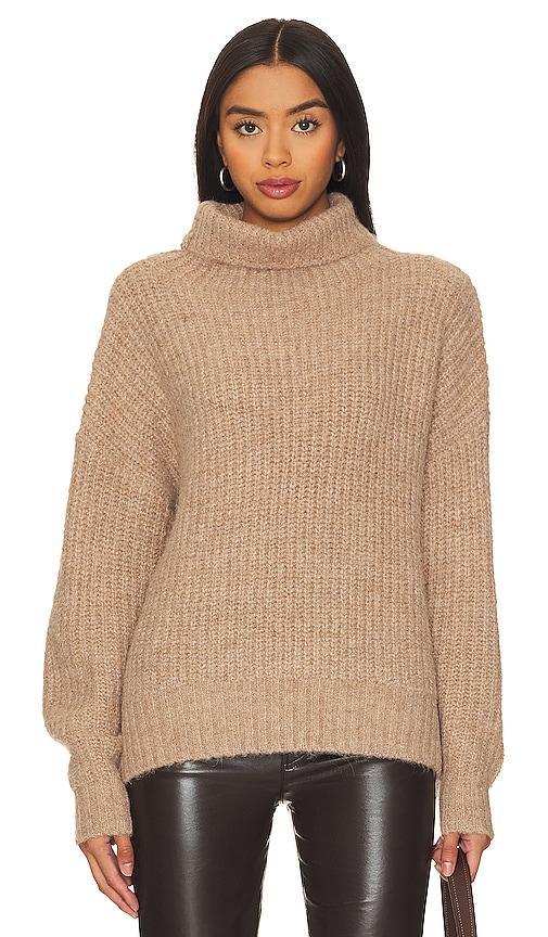 Ashley Turtleneck Sweater Product Image