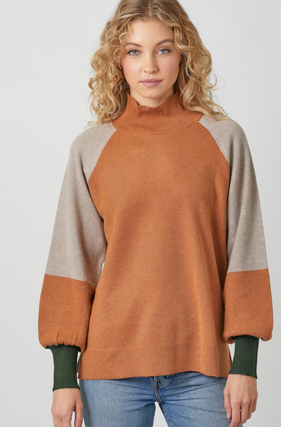 Color Blocked Sweater Product Image