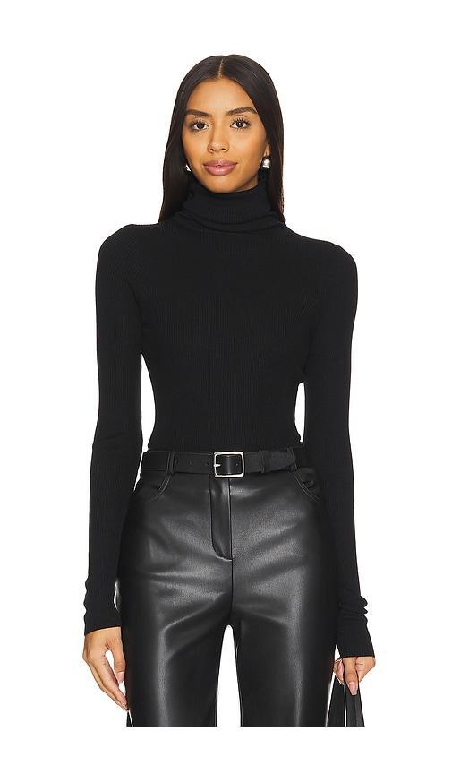 Silk Sweater Rib Turtleneck Product Image