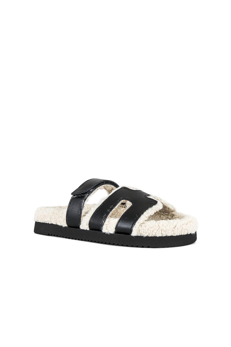 Mayven Sandal Steve Madden Product Image