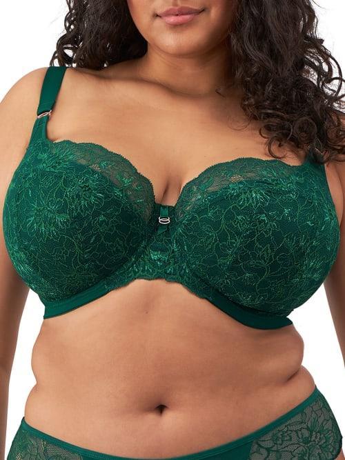 Elomi Brianna Padded Half Cup Scallop Lace Overlay Push Product Image