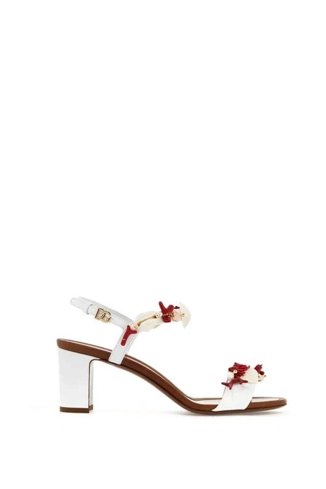 DOLCE & GABBANA Nappa Leather Sandals With Coral In White Product Image