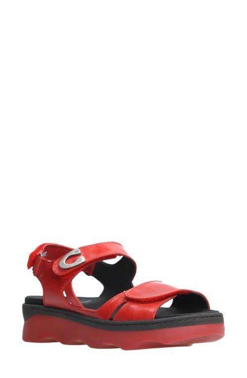 Wolky Medusa Sandal Product Image