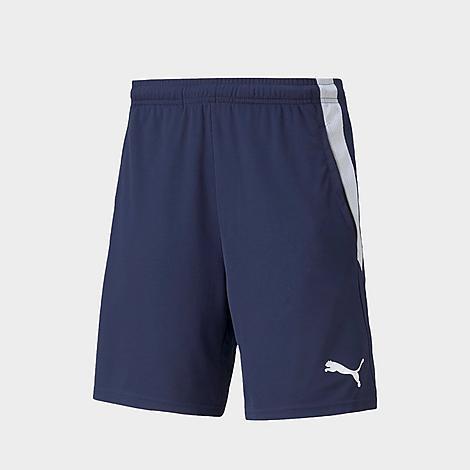 Mens Puma Liga Training Shorts Product Image