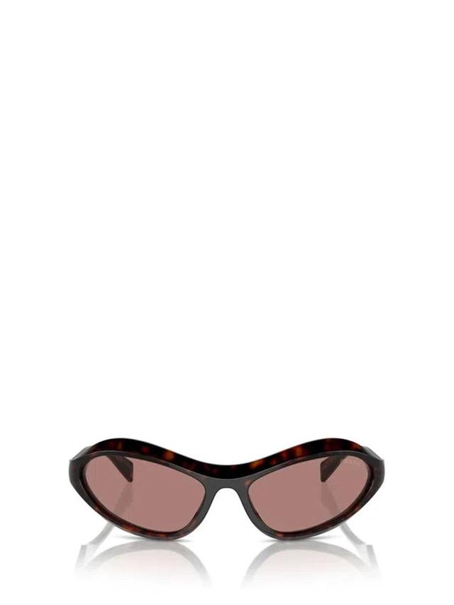 Eyewear Sunglasses In Crl Product Image