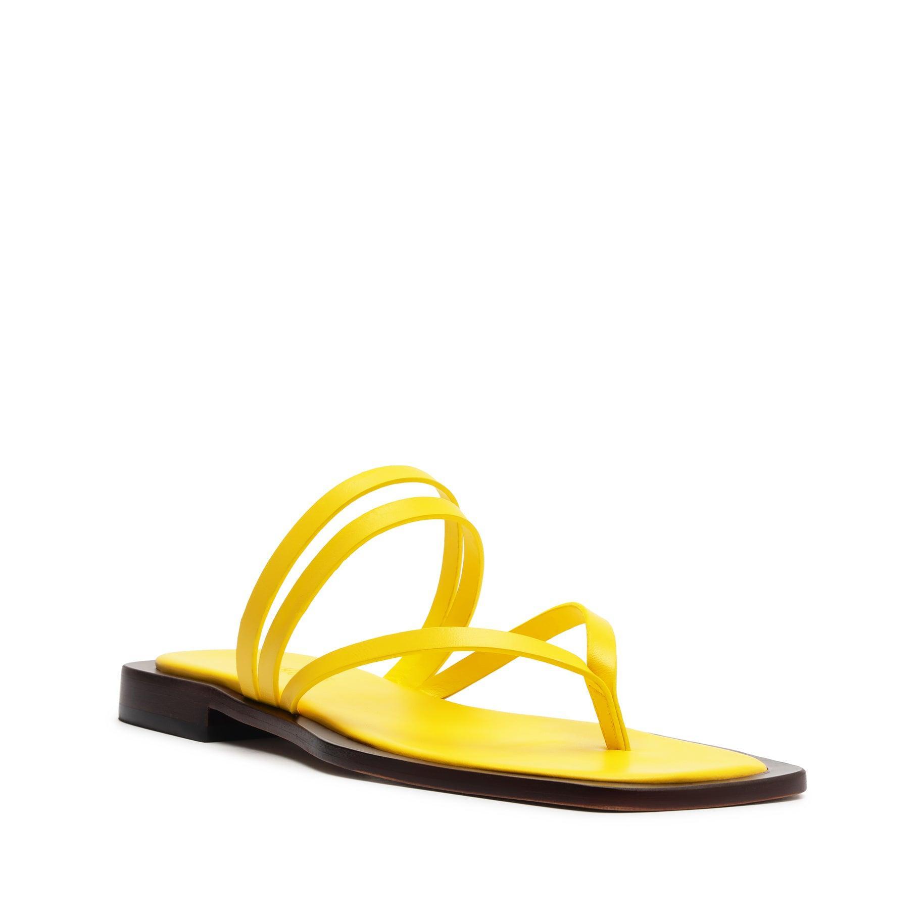 Rania Leather Flat Sandal Product Image