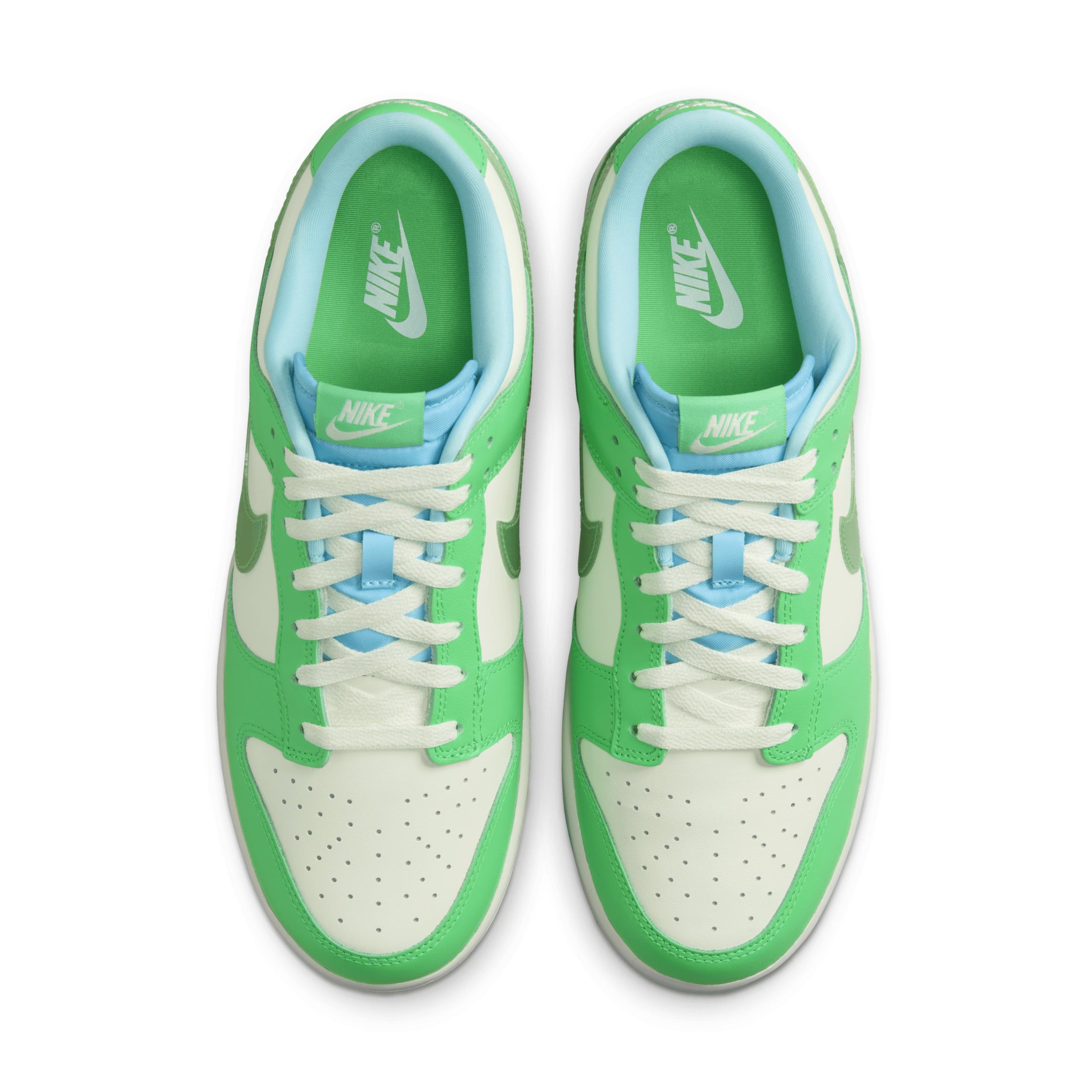 Nike Dunk Low Retro Men's Shoes Product Image