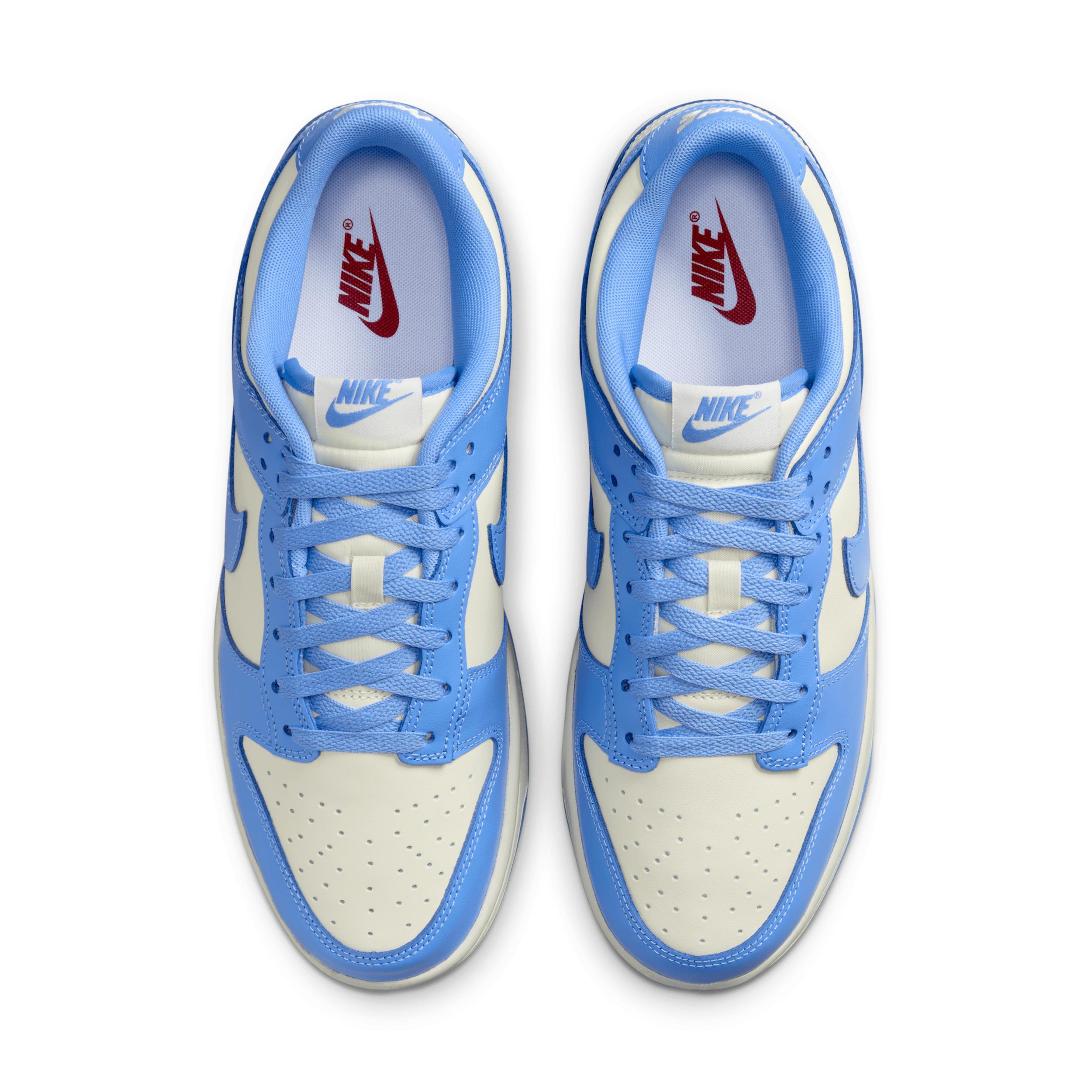 Nike Dunk Low Retro Casual Shoes (Mens Sizing) Product Image