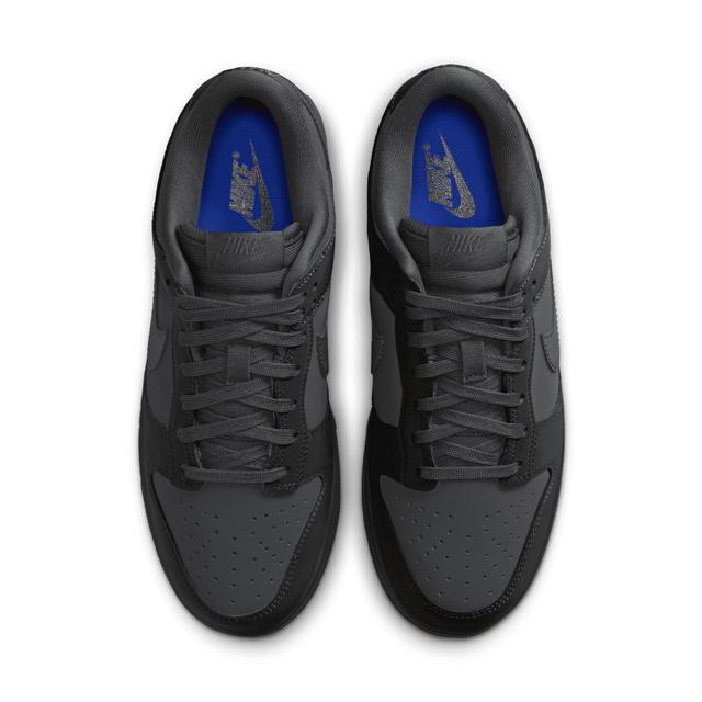 Nike Dunk Low Retro Premium Product Image