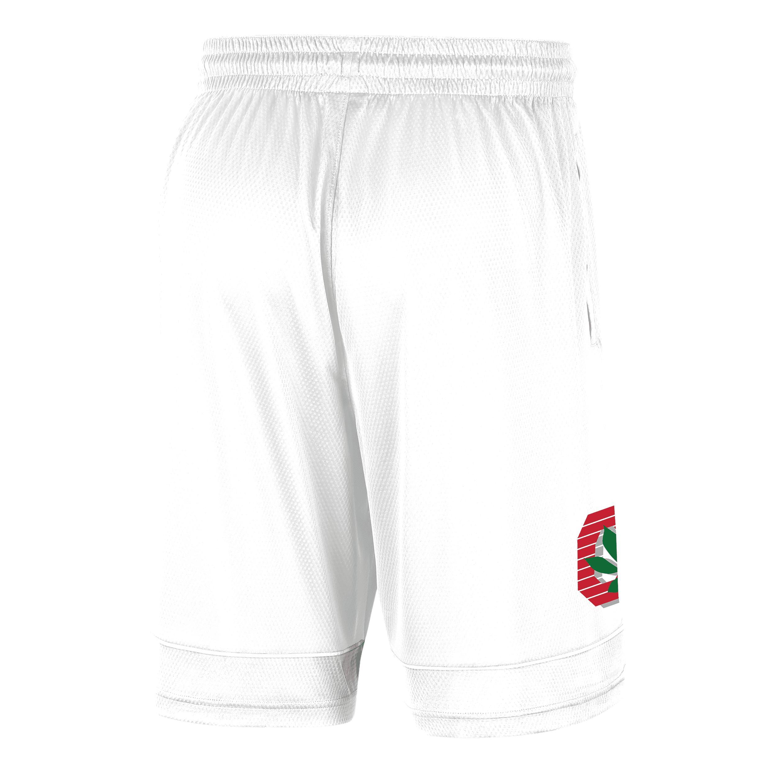 Ohio State Nike Men's College Shorts Product Image