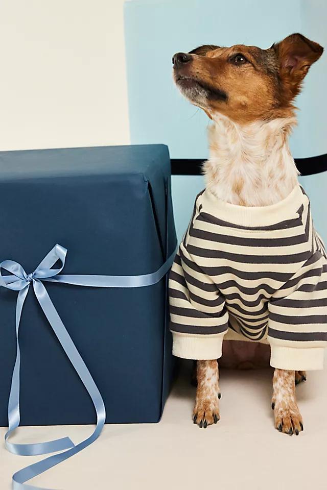 Camden Striped Dog Sweatshirt Product Image