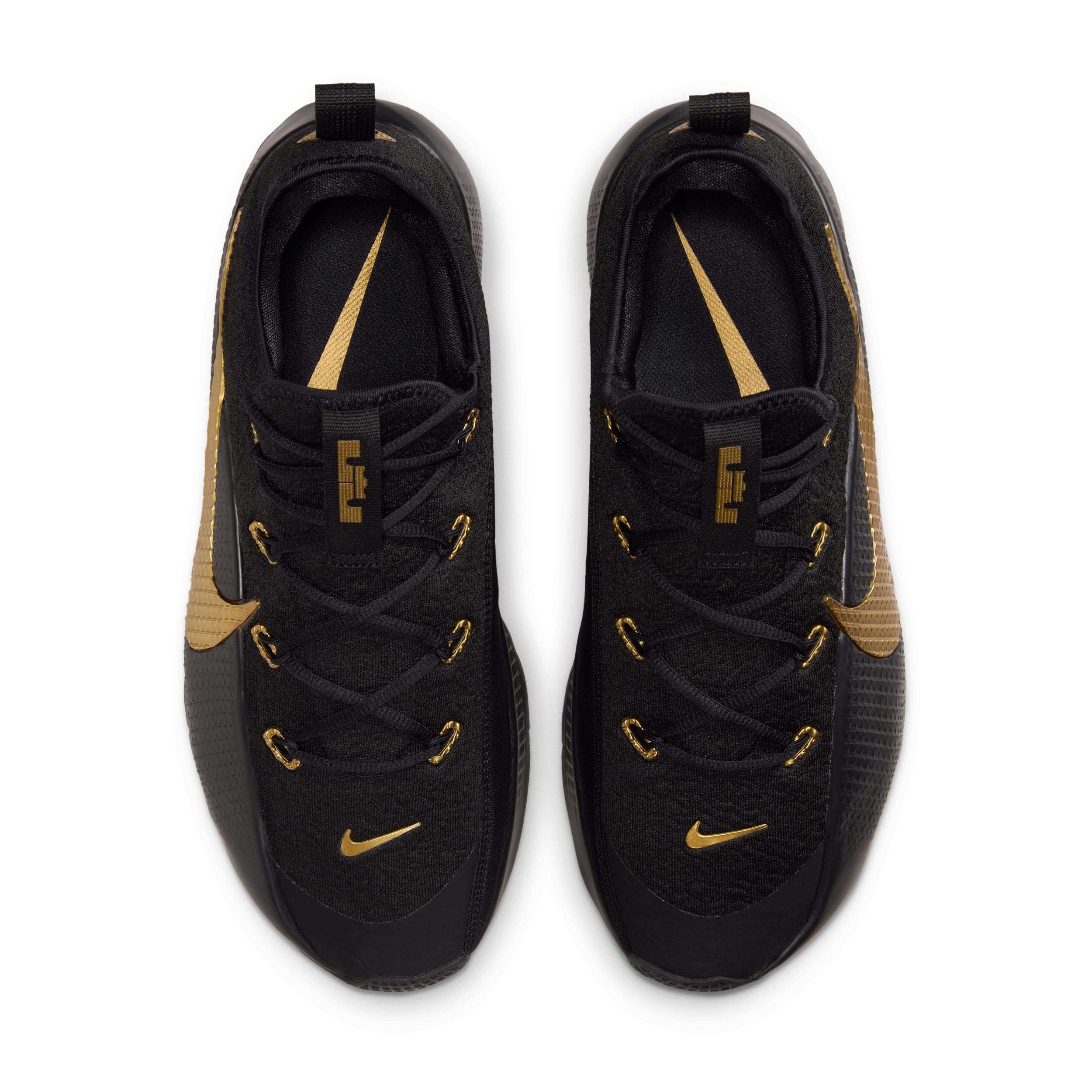 Nike Men's LeBron TR 1 Workout Shoes Product Image