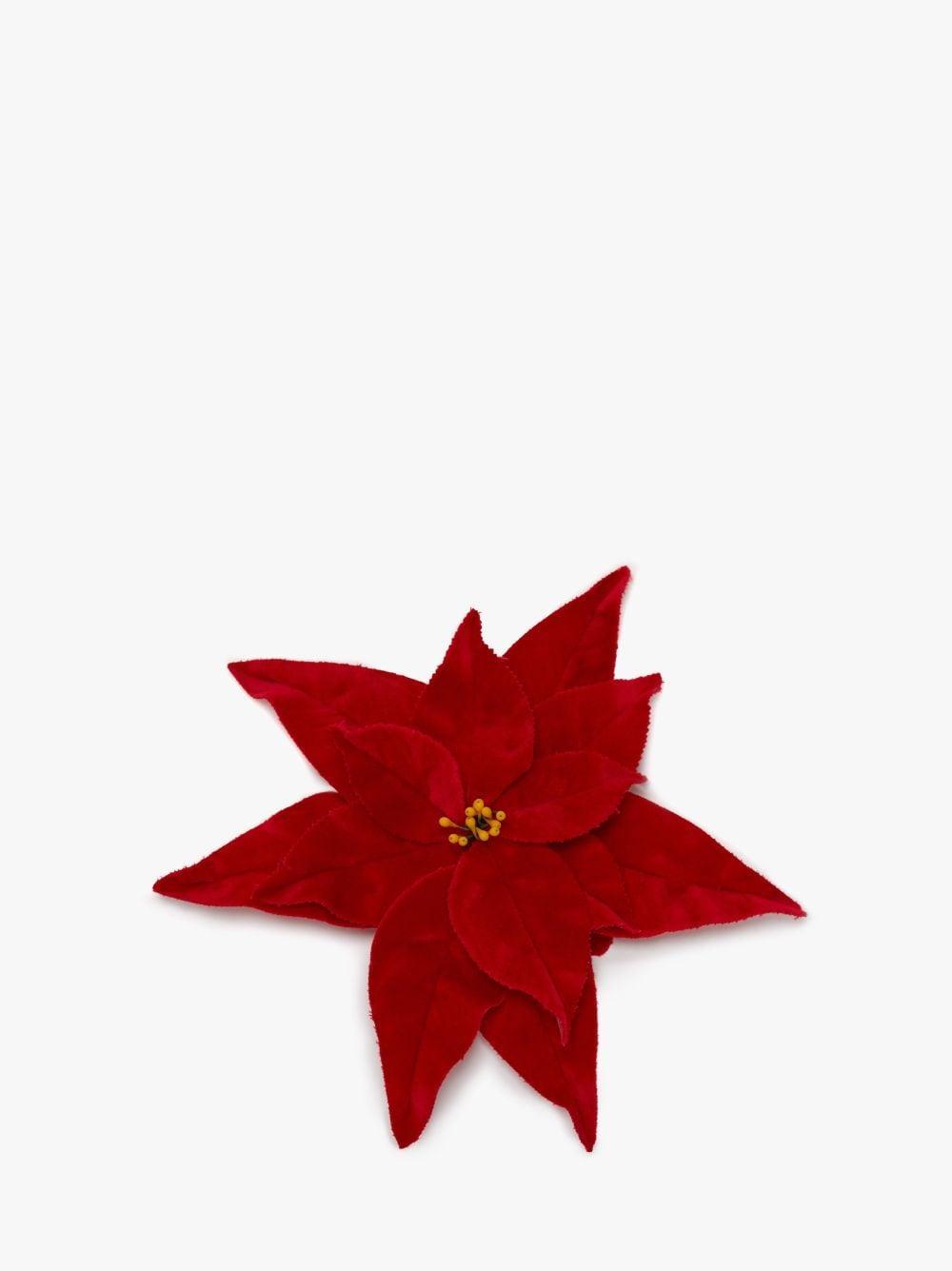 VELVET POINSETTIA BROOCH in red | JW Anderson US  Product Image