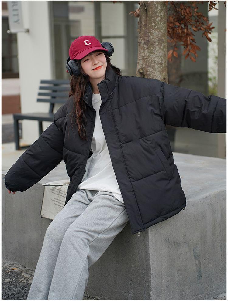 Stand Collar Plain Zip-Up Puffer Jacket Product Image