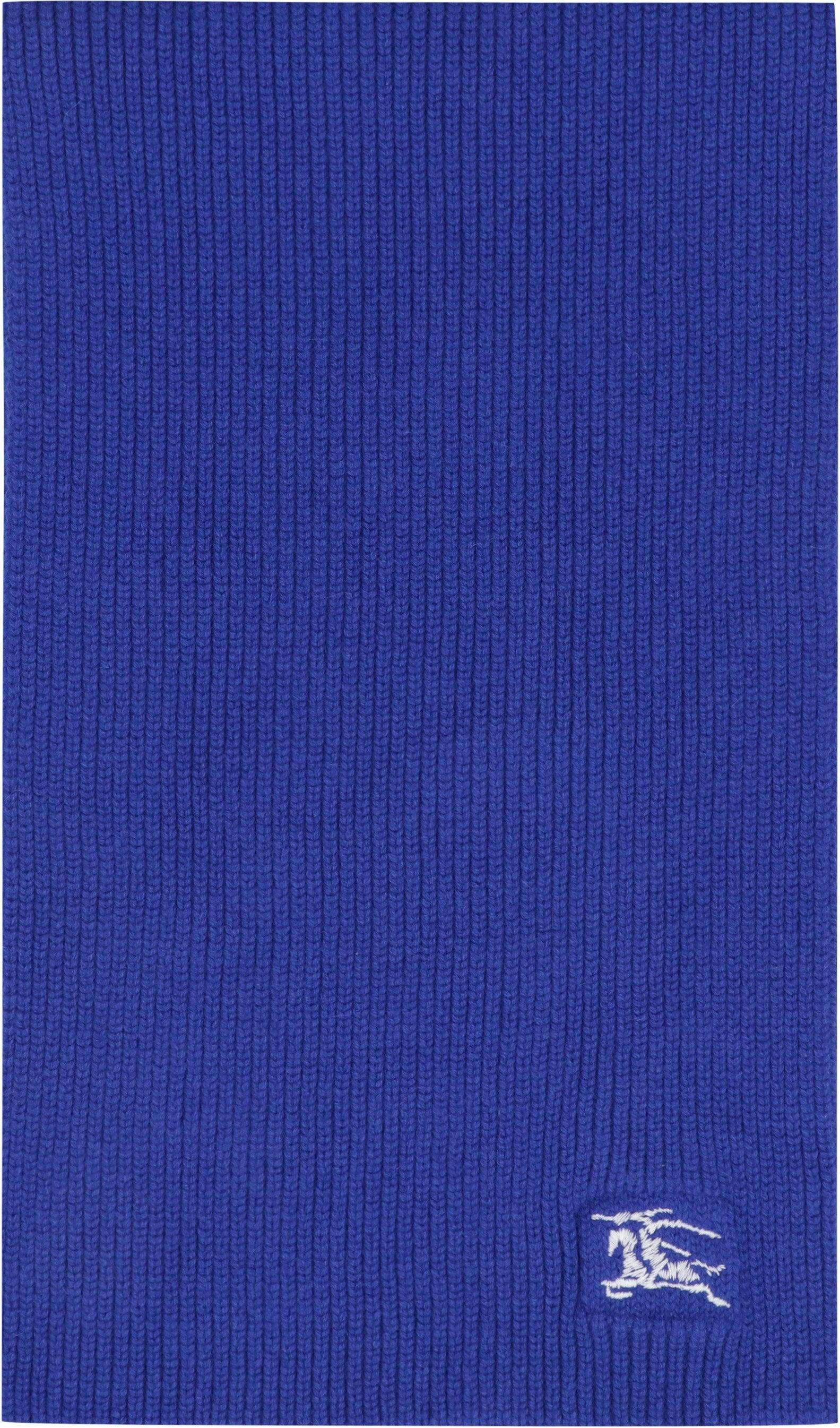 BURBERRY Men's Cashmere Scarf In Blue Product Image