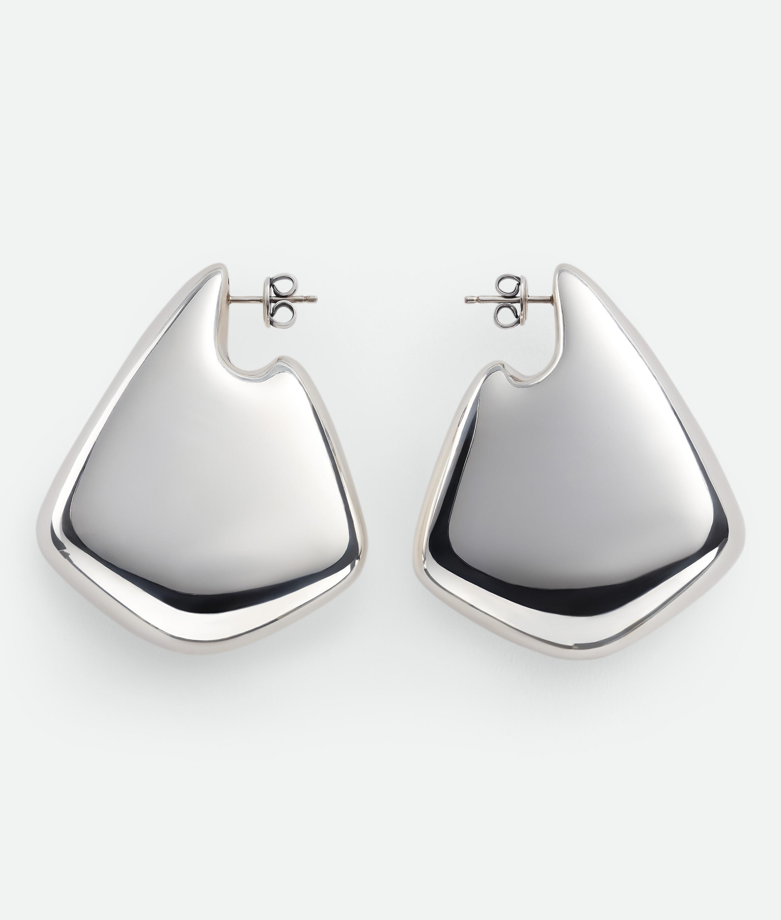 Large Fin Earrings Product Image