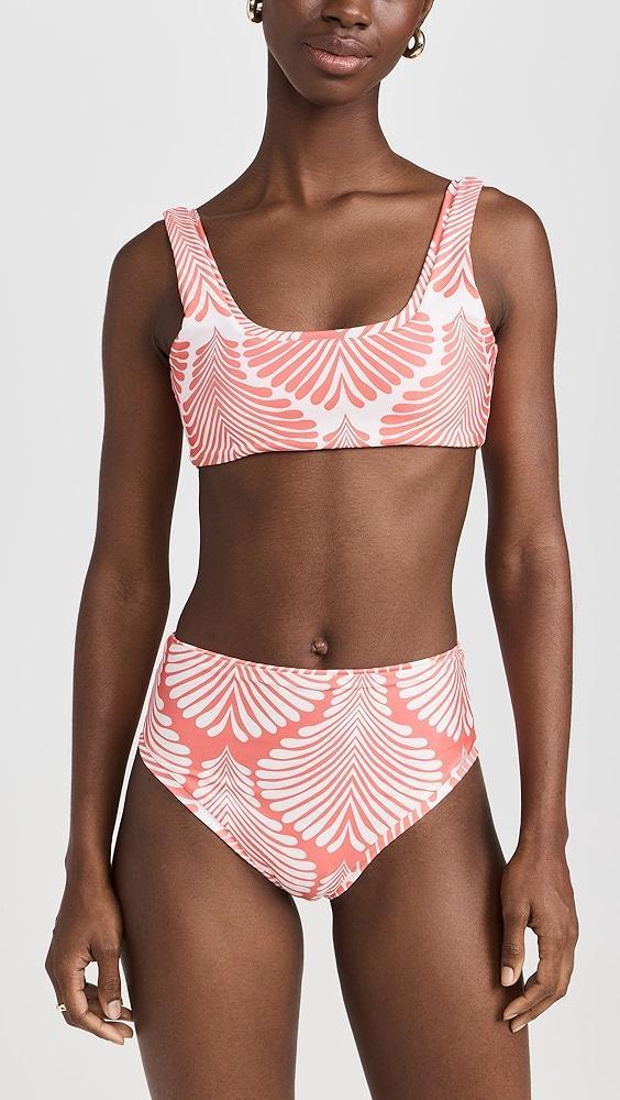 Palmacea Serena Bikini Top | Shopbop Product Image