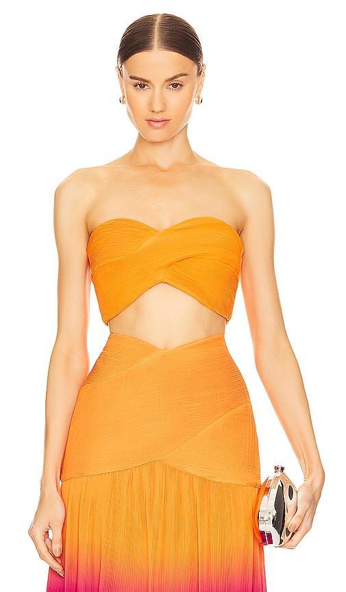 TOP CROPPED BUSTIER DARCEY Product Image