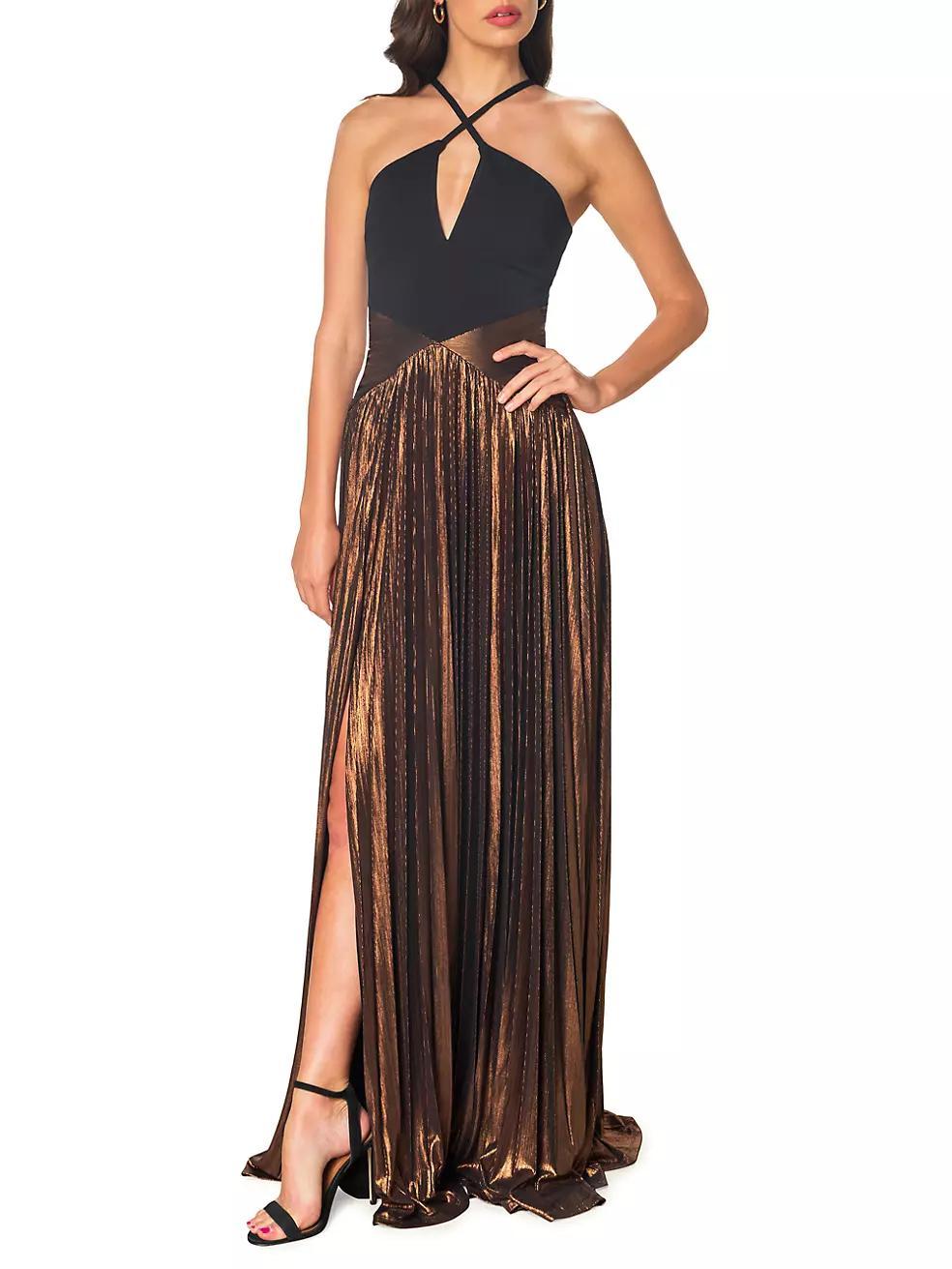 Tuuli Pleated Fit & Flare Maxi Dress Product Image