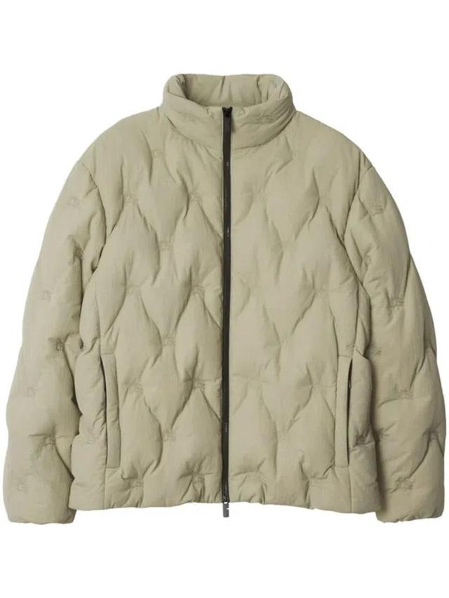 BURBERRY Padded Puffer Jacket In Neutrals Product Image