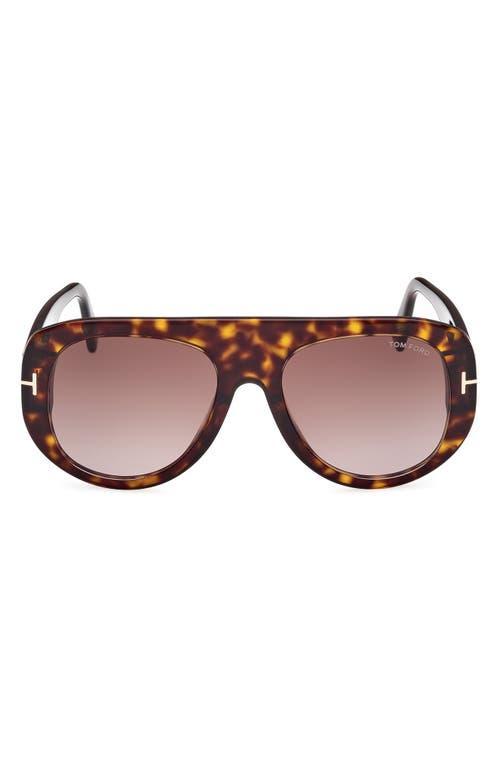 Tom Ford Man Sunglass Cecil - Frame color: Tortoise Black, Lens color Product Image