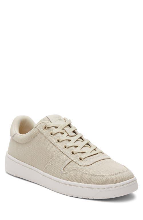 TOMS TRVL Lite Court Sneaker Product Image