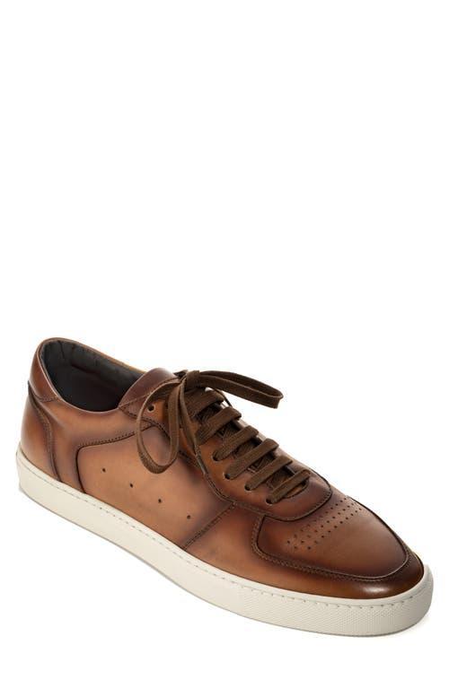 To Boot New York Barbera (Bruno F.Crem) Men's Shoes Product Image