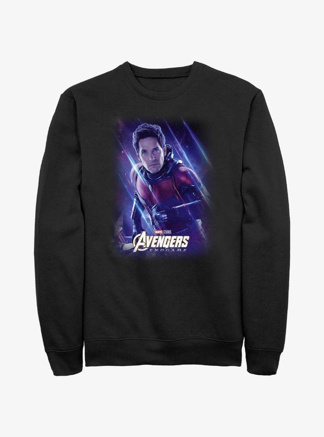 Marvel Avengers: Endgame Ant-Man Scott Lang Sweatshirt Product Image