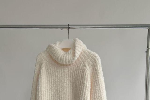 Turtleneck Plain Ribbed Cropped Sweater Product Image