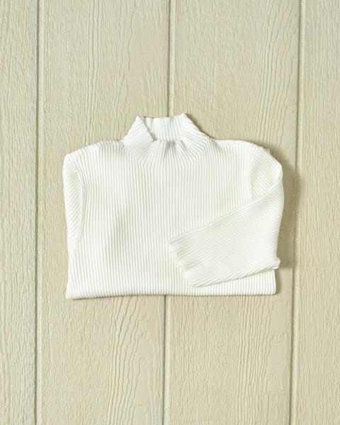 Haven Short Sleeve Knit Top in Egret Product Image