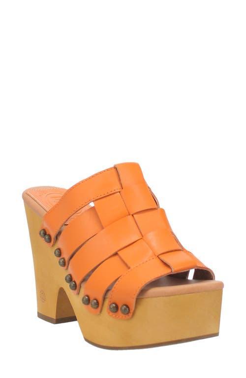 Dingo Dagwood Platform Slide Sandal Product Image