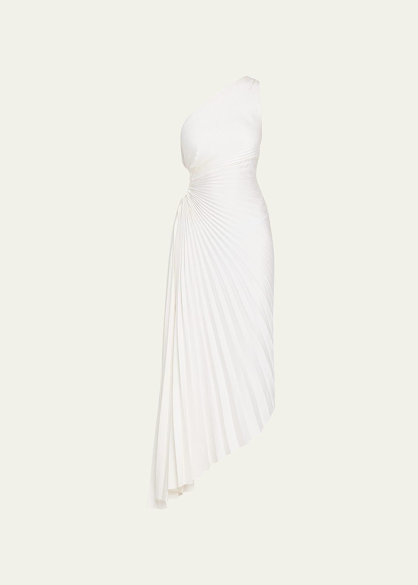 Womens Delfina Asymmetrical Pleated Dress Product Image