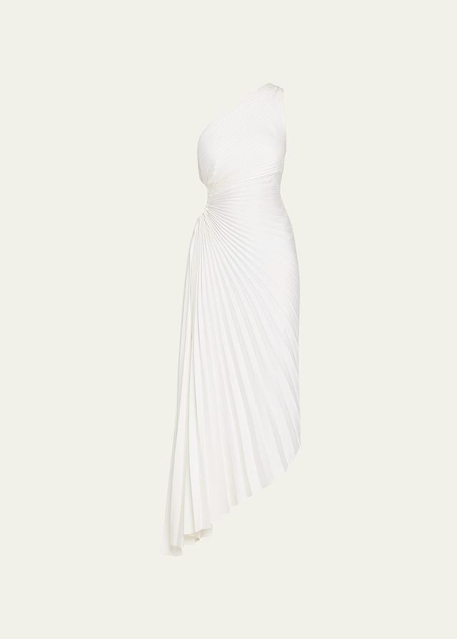 Womens Delfina Asymmetrical Pleated Dress Product Image