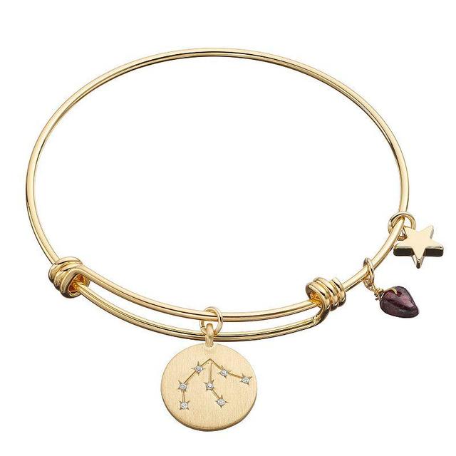 City Luxe Horoscope Cubic Zirconia Disk Bangle Bracelet with Genuine Stone & Star Charm, Womens, Gold Tone Aquarius Product Image