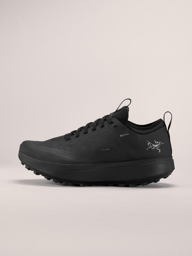 Sylan GTX Shoe Men's Product Image