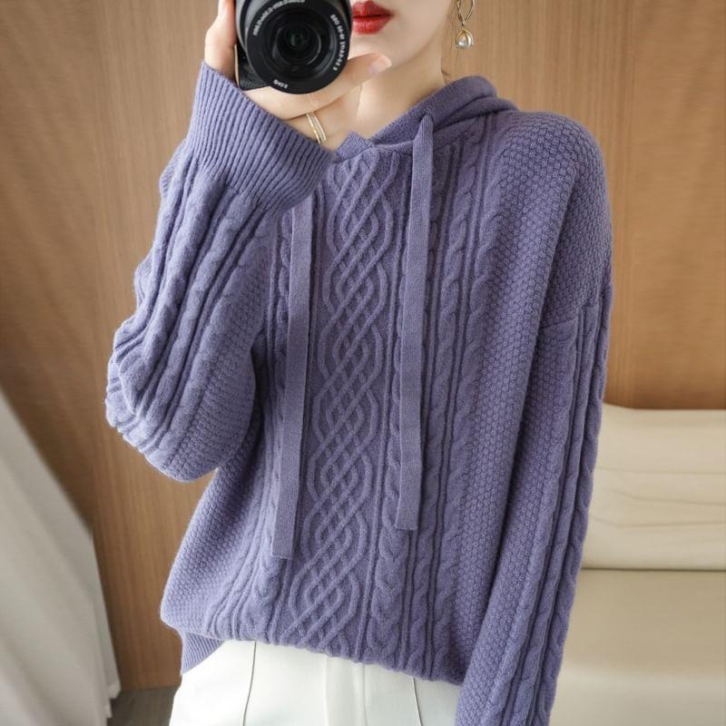 Plain Hood Cable Knit Sweater Product Image