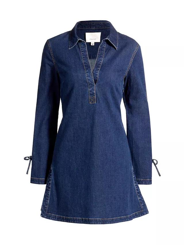 Aster Denim Minidress Product Image