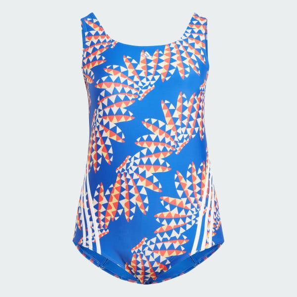 FARM Rio 3-Stripes CLX Swimsuit (Plus Size) Product Image