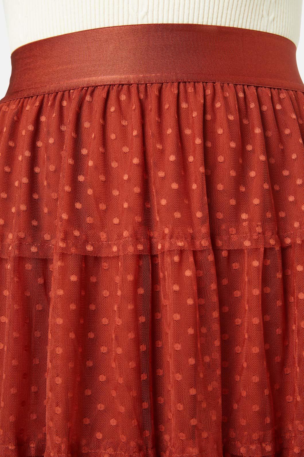 Avery Tulle Skirt Product Image