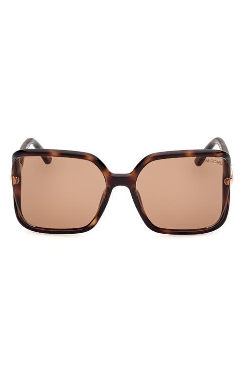 TOM FORD Solange-02 60mm Butterfly Sunglasses Product Image