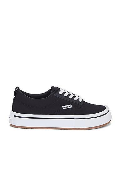 Vulcanized Lace Up Canvas Sneaker Product Image