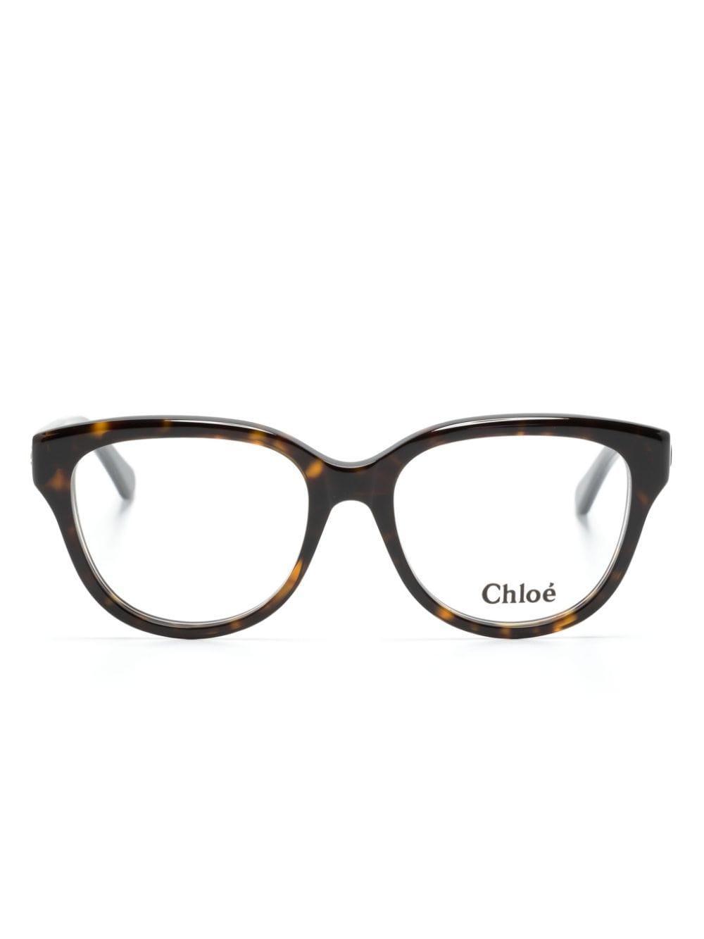 Square-frame Glasses In Brown product image