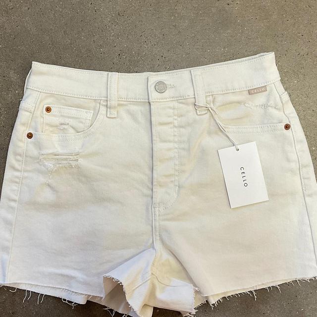 Sea Salt Denim shorts Product Image