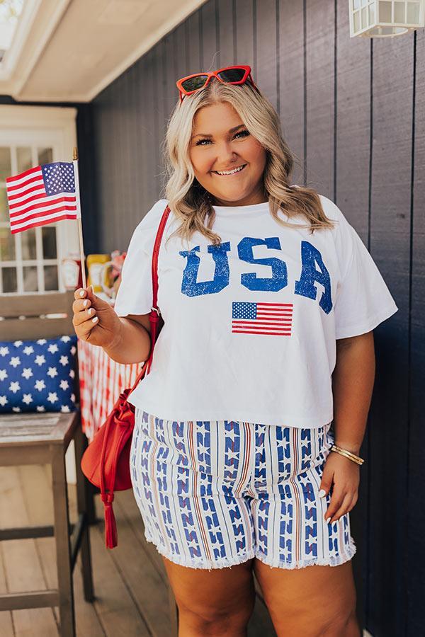 USA Pride Graphic Tee Curves Product Image