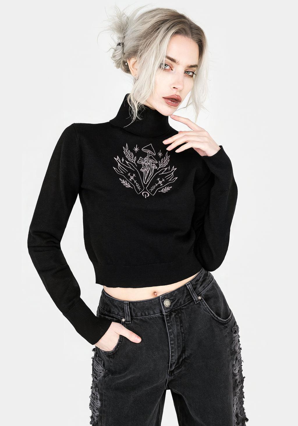 Mystify Embroidered Roll Neck Crop Sweater Product Image