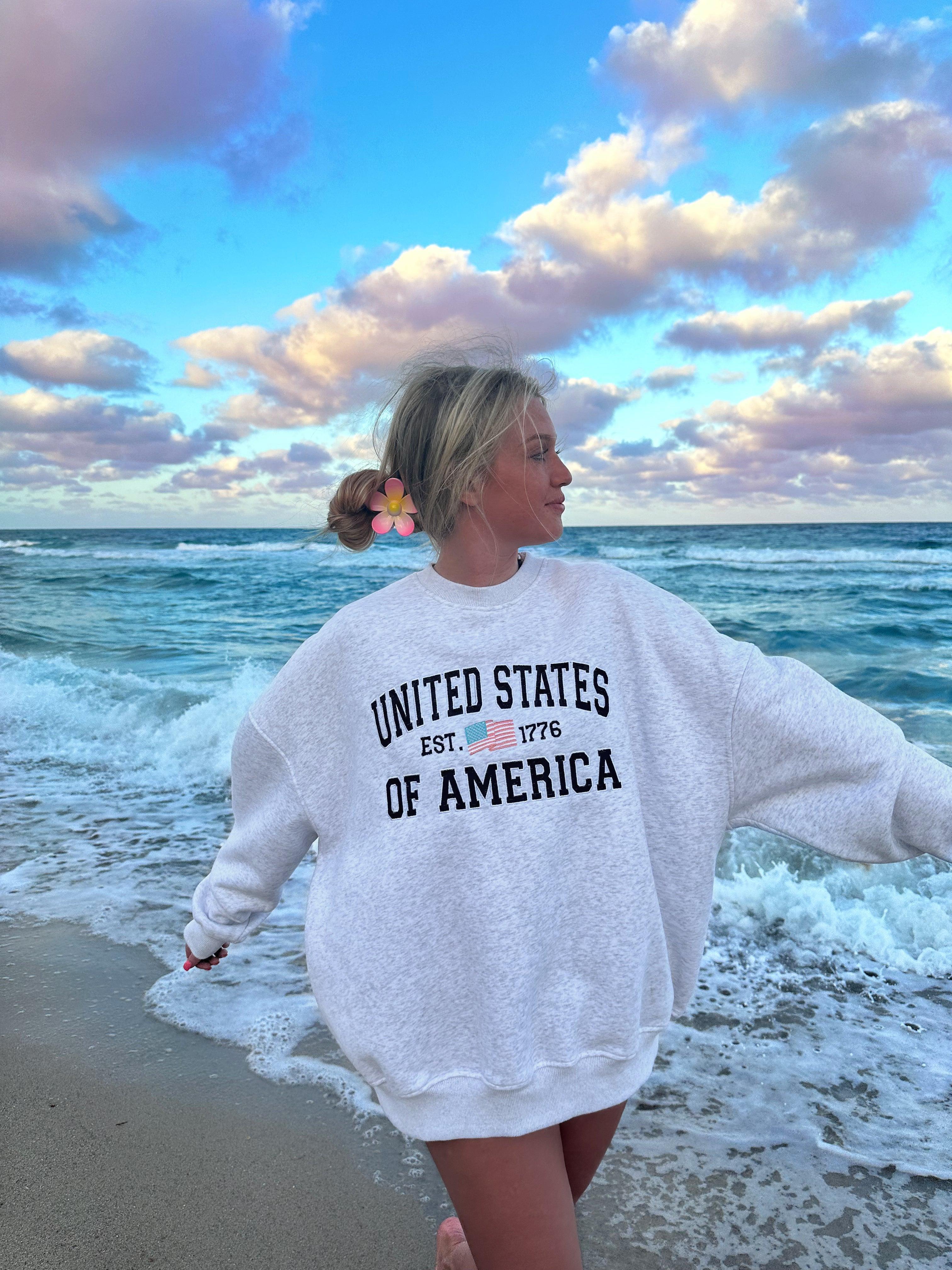 United States Of America Embroider Flag Sweatshirt Product Image