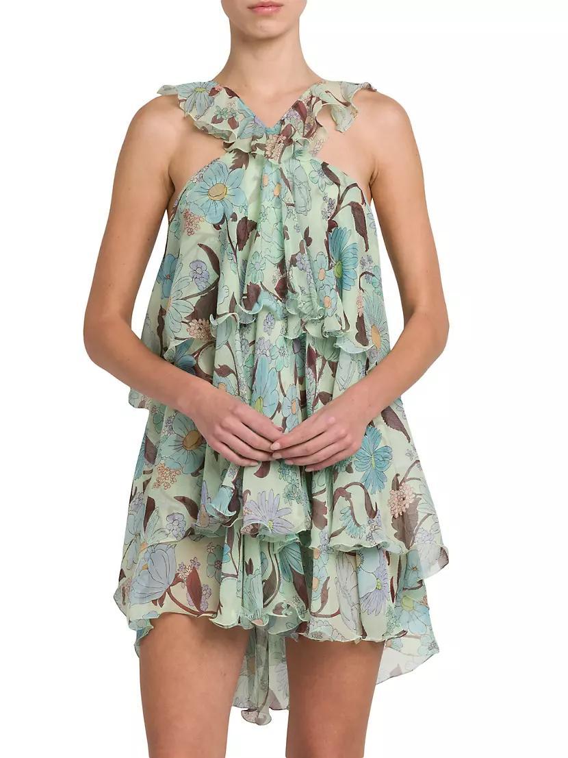 Garden-Print Silk Minidress Product Image